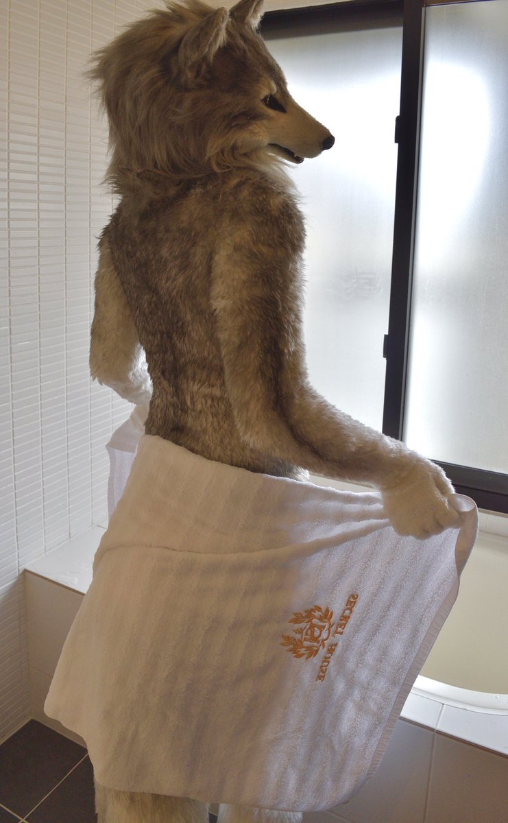 floodgateofwolf's tweet photo. #うちの子何味
お前に全てを曝け出してやるから、さぁ早く俺が何味か教えてくれよ https://t.co/aMXA7k8G2J