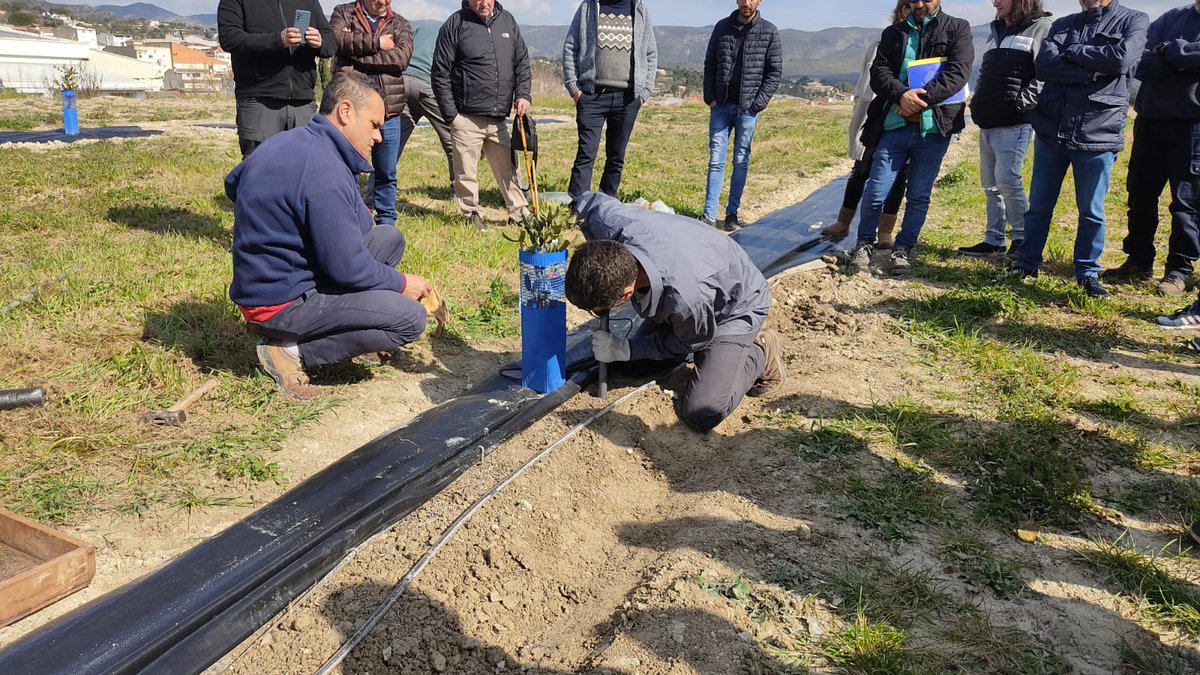 maitemaress's tweet photo. Taller instalación y uso de sensores en la EEA Llutxent con @RiegosIvia
@GVAagroambient @l_agraria @GVAivia @chafer_maite https://t.co/pJgMnyPf8s
