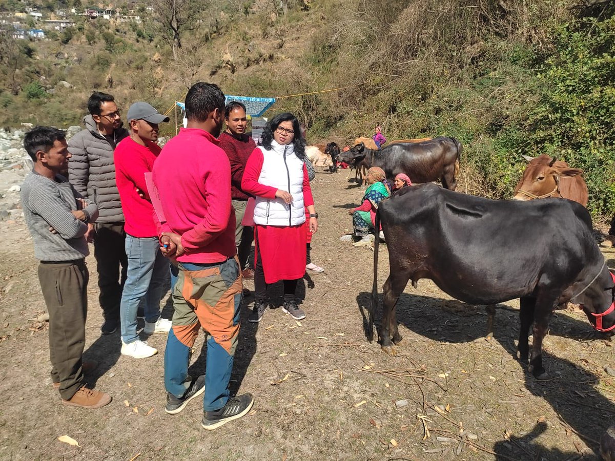 Dhimankav's tweet photo. Extension activity is the crux to sustain any innovation.
One step towards it.
Animal Exhibition: Interior village of Ghat ,Chamoli https://t.co/K0mEQk9M1I