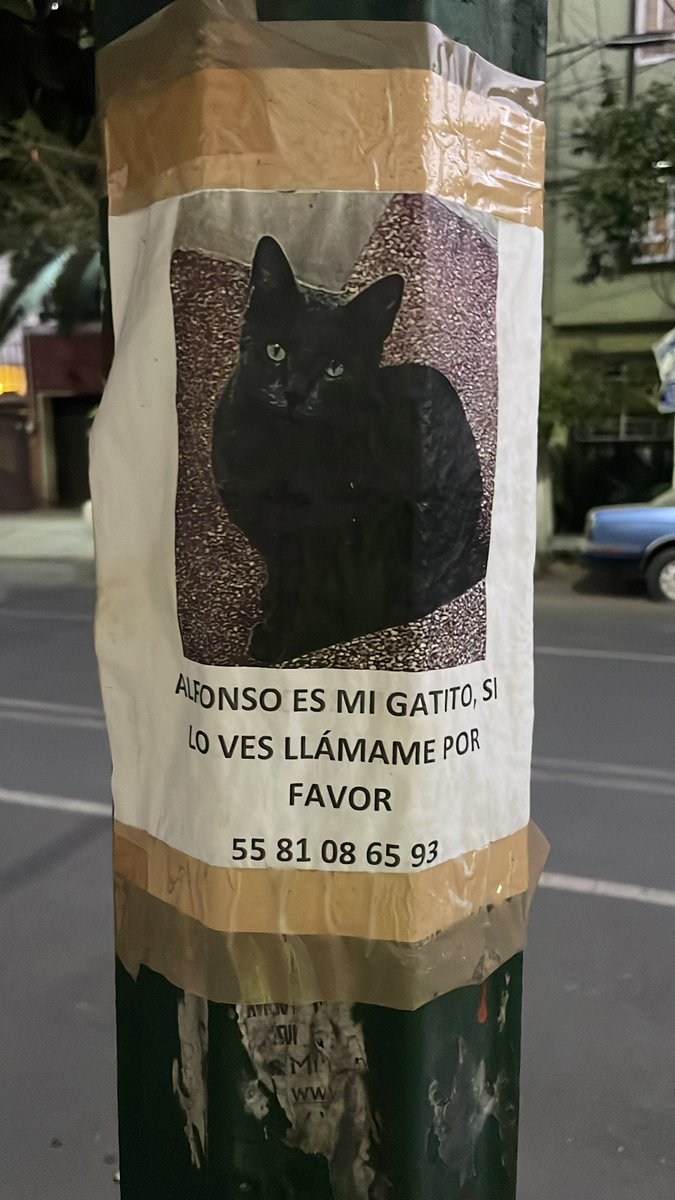 TedElPerro's tweet photo. ¿Alguien ha visto a Alfonso?  @En_laDelValle https://t.co/ltdMS2cJRG