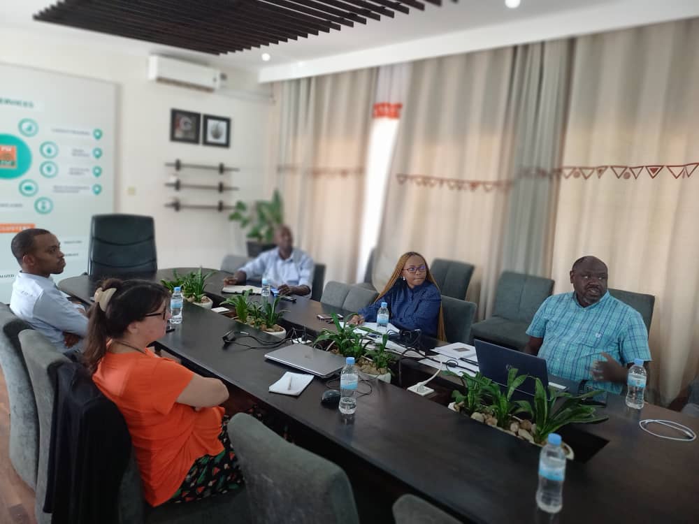 Imanzi Business Institute tweet media