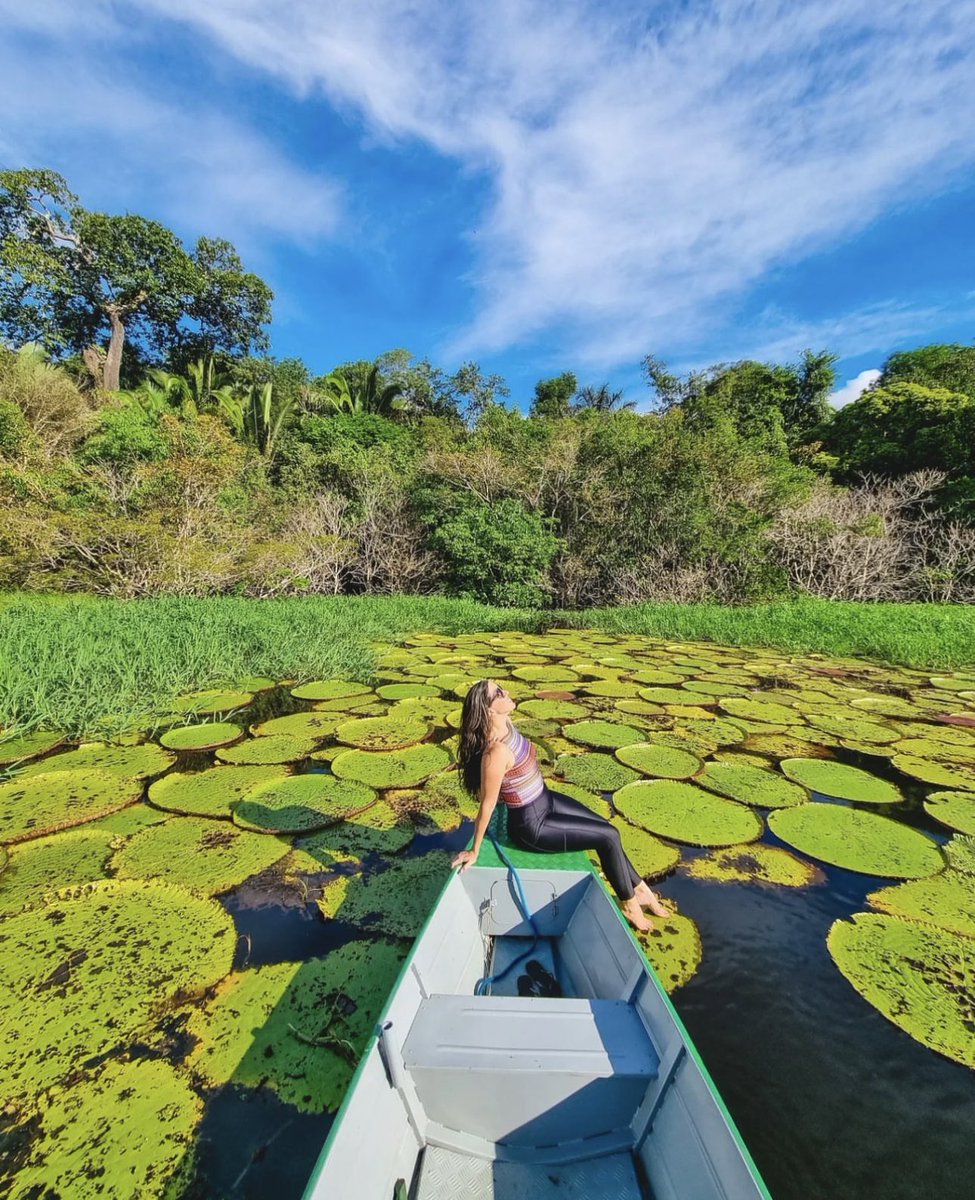 iguanatour's tweet photo. É quinta-feira, então vamos de #tbt  Vocês estão animados para o carnaval? #Amazônia https://t.co/0LuC5N4o27