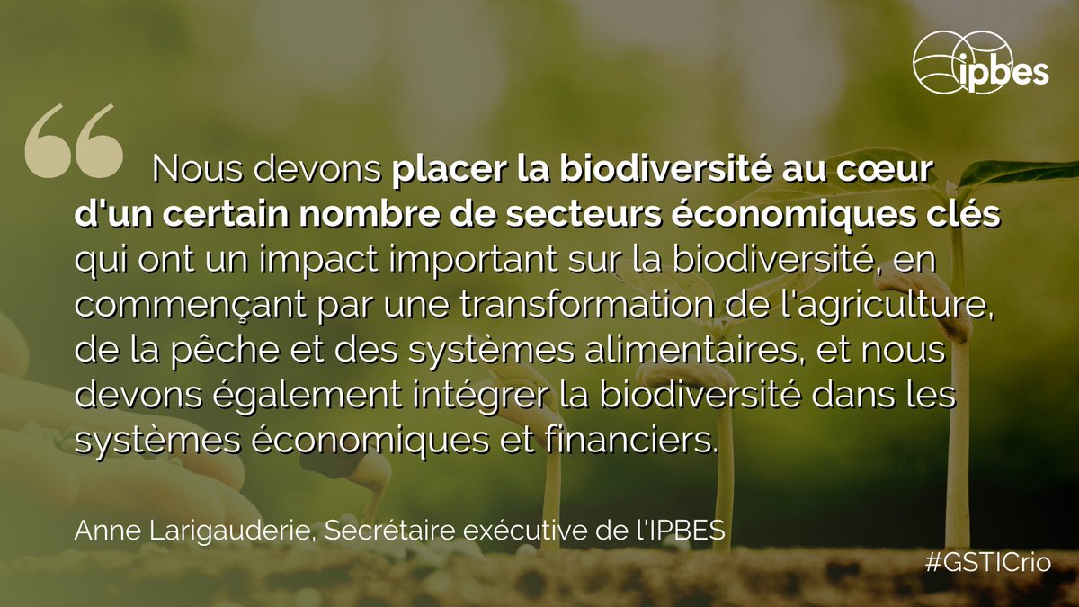 Anne Larigauderie, Sec. Exéc. d'<a href="/IPBES/">ipbes</a>, est intervenue à la conférence <a href="/gsticseries/">G-STIC</a> sur l'accélération des solutions technologiques pr les ODD.

La #biodiversité est confrontée à de nombreux défis &amp; des instruments sont nécessaires pr inverser les tendances négatives.

#GSTICrio