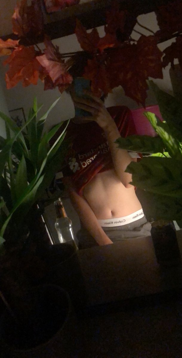 CaleJB's tweet photo. Do you like my plants? 🌱😌 https://t.co/CZbcr1SPa5