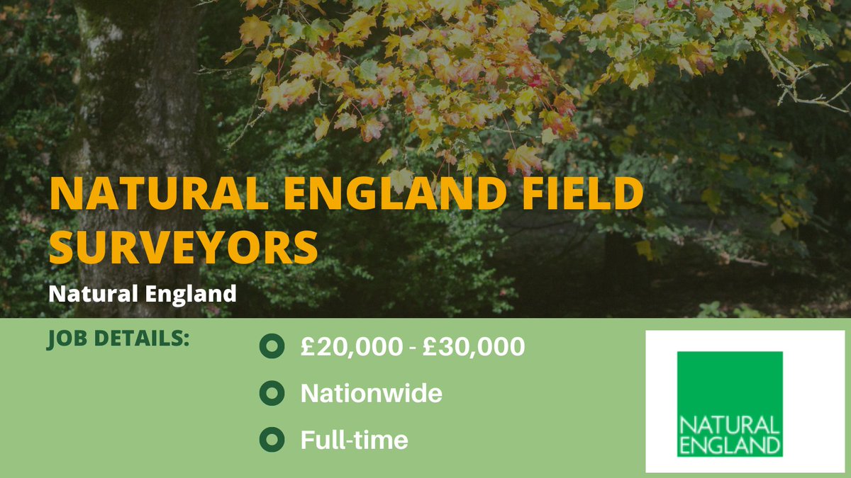 The role will be predominantly field based and involve organising and carrying out a range of ecological surveys across England, including botanical surveying on a range of habitats and will include data collection.

Apply now: cieem.net/job/natural-en…