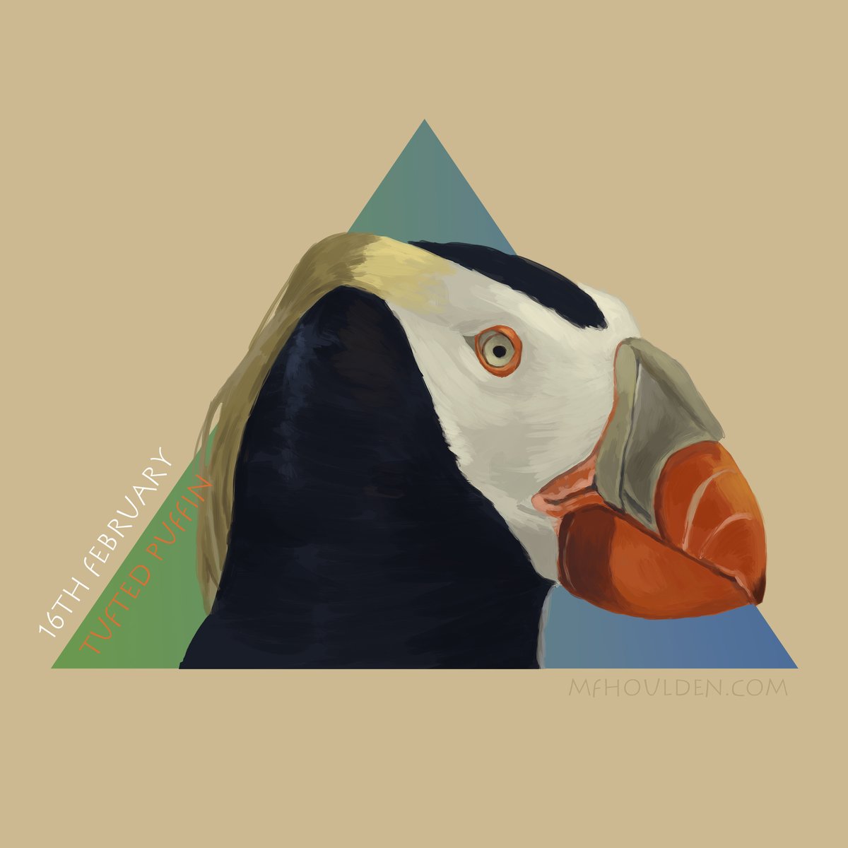 Day 47 ~ February 16th ~ Tufted Puffin - What a cutie! Nice to focus on just the profile of the face this time! Photos are nearly all from Audobon 2023 page a day calendar! #art #noai #humanartist #bird #birdtwitter #birdart #puffin #natureart #birdillustration #biodiversity