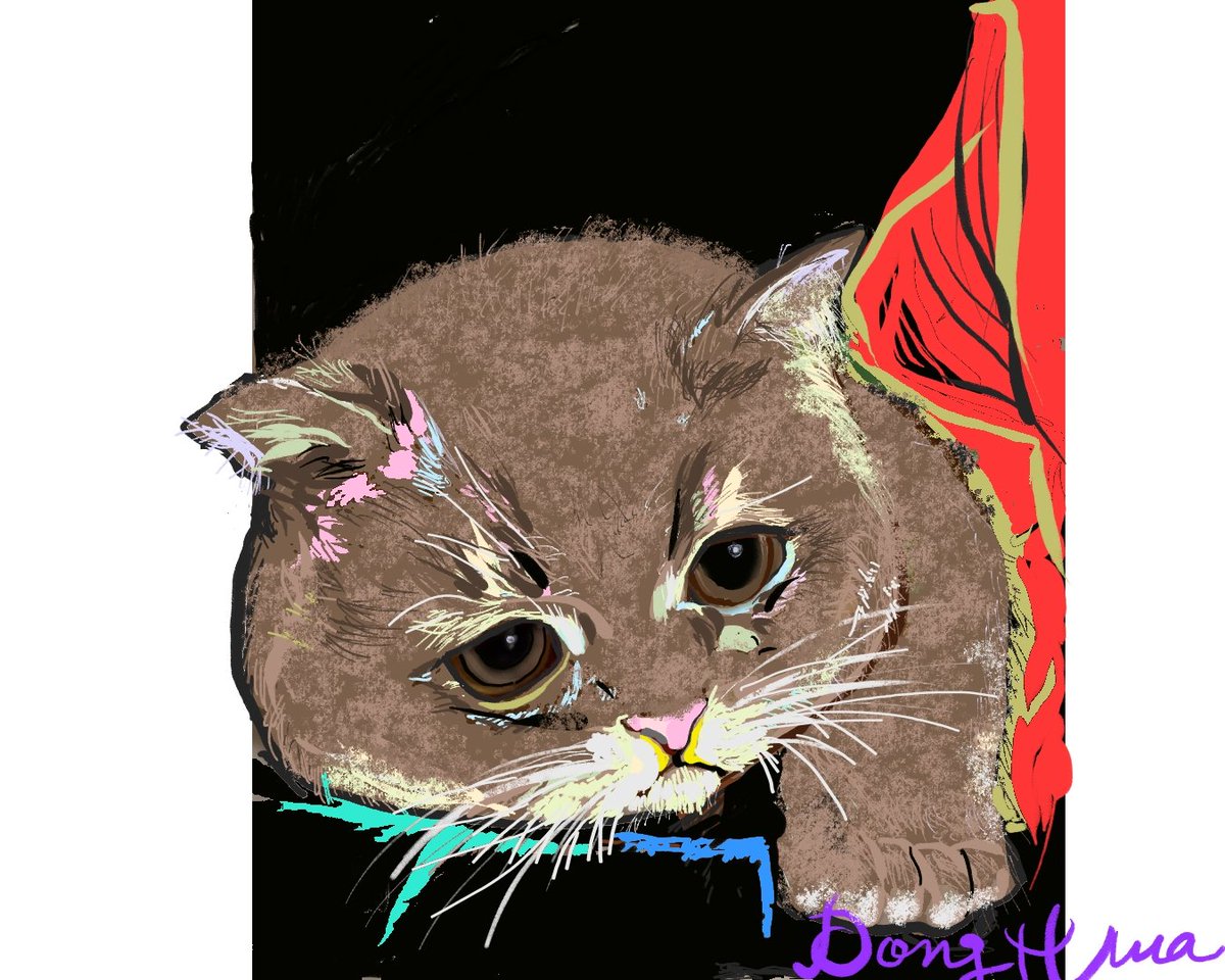 hwajjs1488's tweet image. #smartphone 
#touchpen