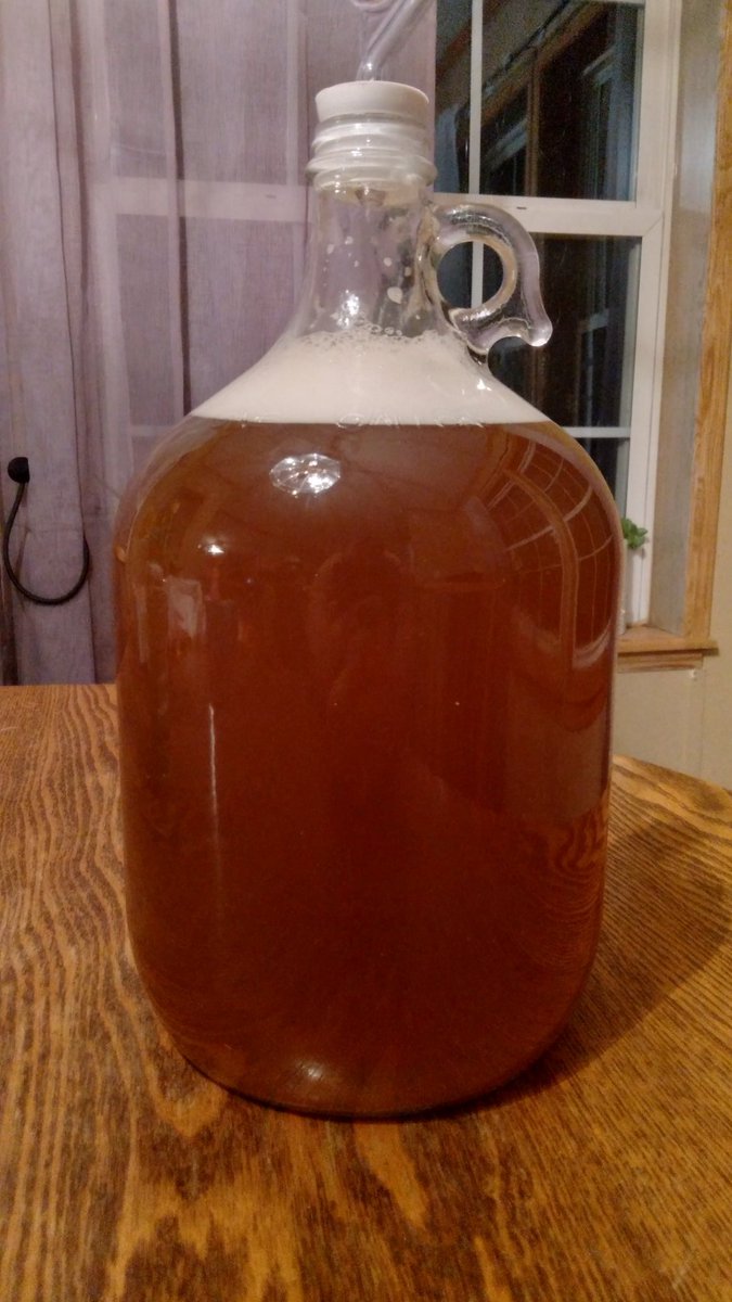 KnightDivining's tweet photo. Last batch of mead until Fall 2023. First attempt at an Acerglyn (maple syrup 🍁 &amp; honey 🍯). Also using QA23 as my yeast for the first time. SG is 1.088 which gives it ~11.5% ABV potential. Can't wait to taste this in a month or so 😋 #mead #meadmaking #homebrewing #meadmaker https://t.co/NSfSYBTayo