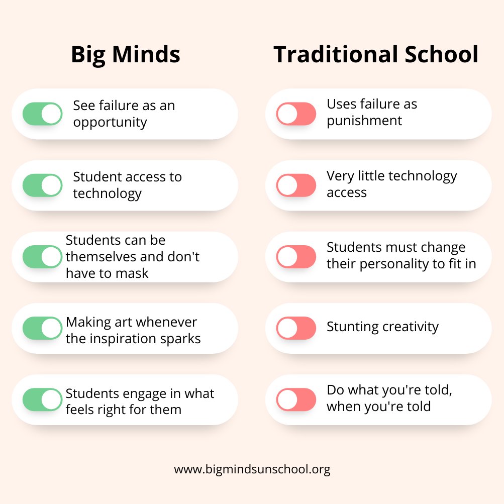 Our Marketing class students wanted to share even more about why they love being students at Big Minds!
#Bigminds #Bigmindsunschool #2e #autism #spd #pleasanton #pinole #privateschools #adhdbrain