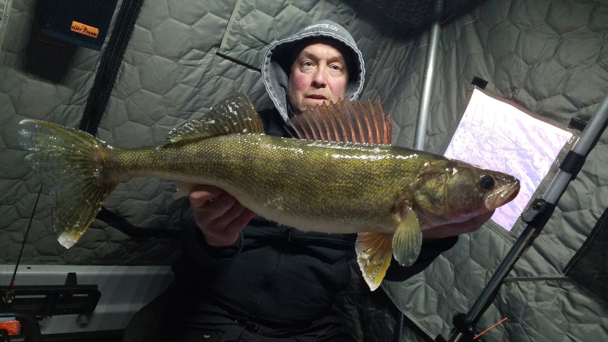 KKellyWalleyes's tweet photo. It was a pretty slow day until this big girl showed up.  She took first prize in the 4th Annual Wheel House Warriors Fishing Tournament #icefishing #walleye #wheelhousewarriors #fishdonkey #tunedupcustomrods #strikerbrands #clamoutdoors #vexilar #englebaitcoolers #millelacs https://t.co/p8Jb87hmhI