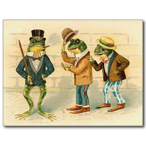 moritzheiden's tweet image. GM fellow toads and toadettes.