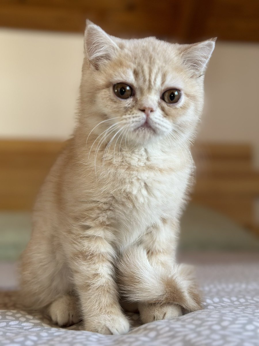 Bao está por casa de visita 🙂