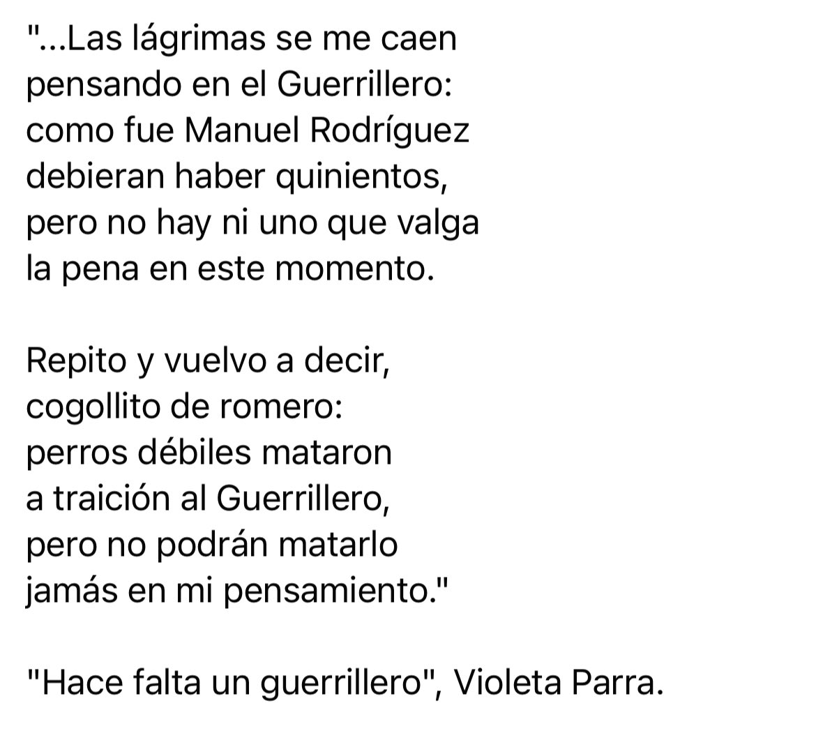 Rebelde_1312's tweet image. #ManuelRodriguez #Husar #TilTil