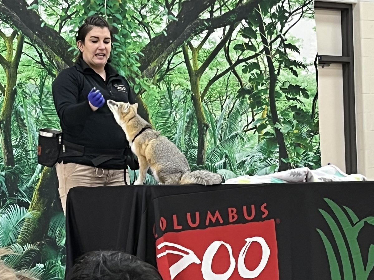 We're just "hanging" around with the Columbus Zoo today! Thank you for the experience, PTO! We learned so much! <a href="/BNLC_PTO/">BNLC PTO</a>