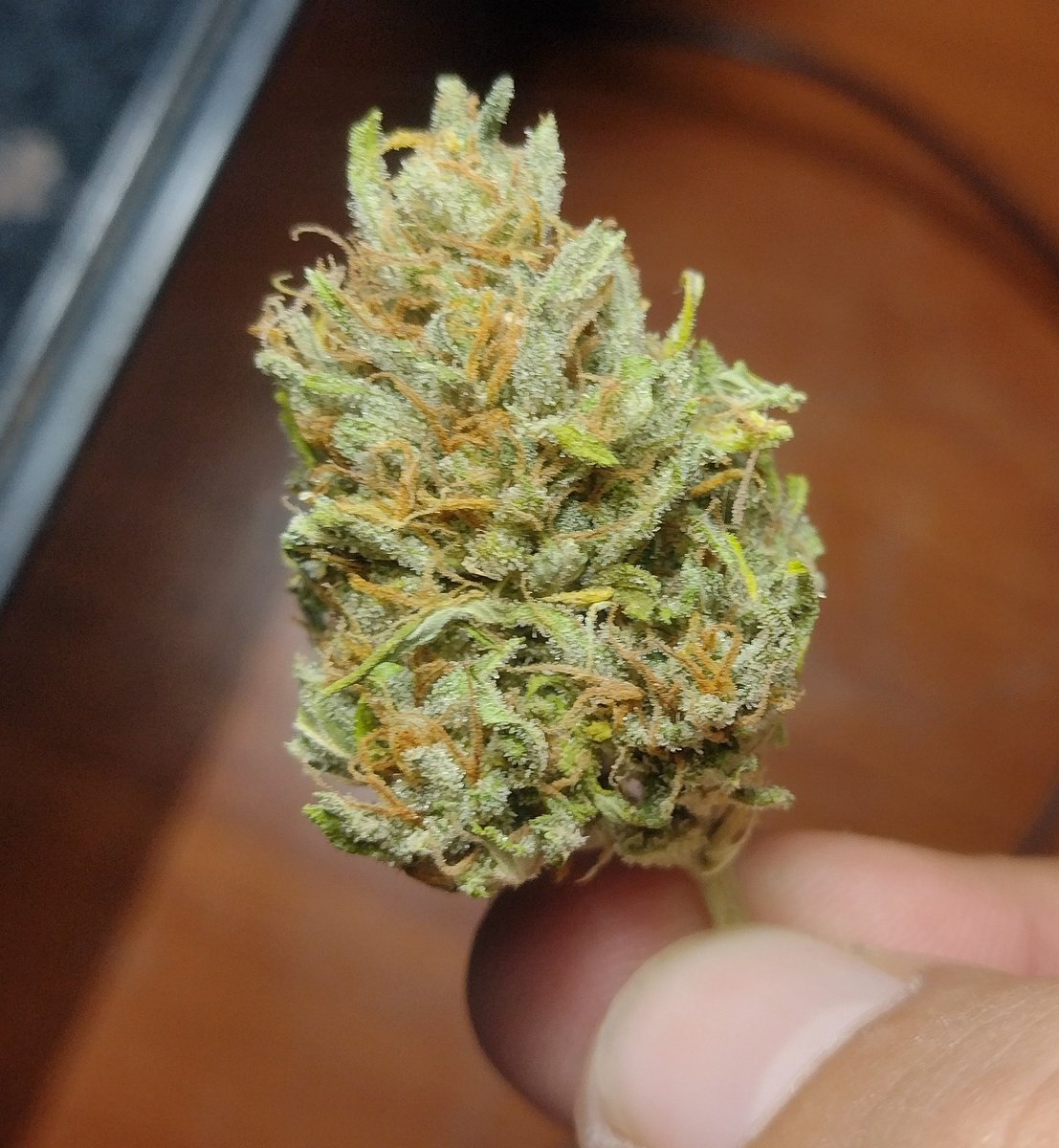 A mal tiempo buenas flores