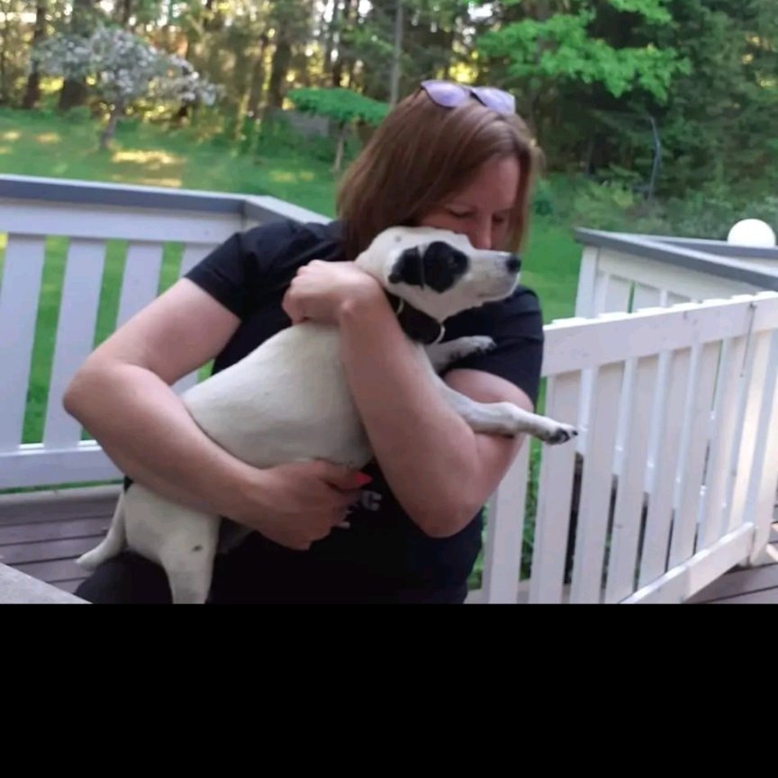 Finpixel (@autti_jenni) on Twitter photo 