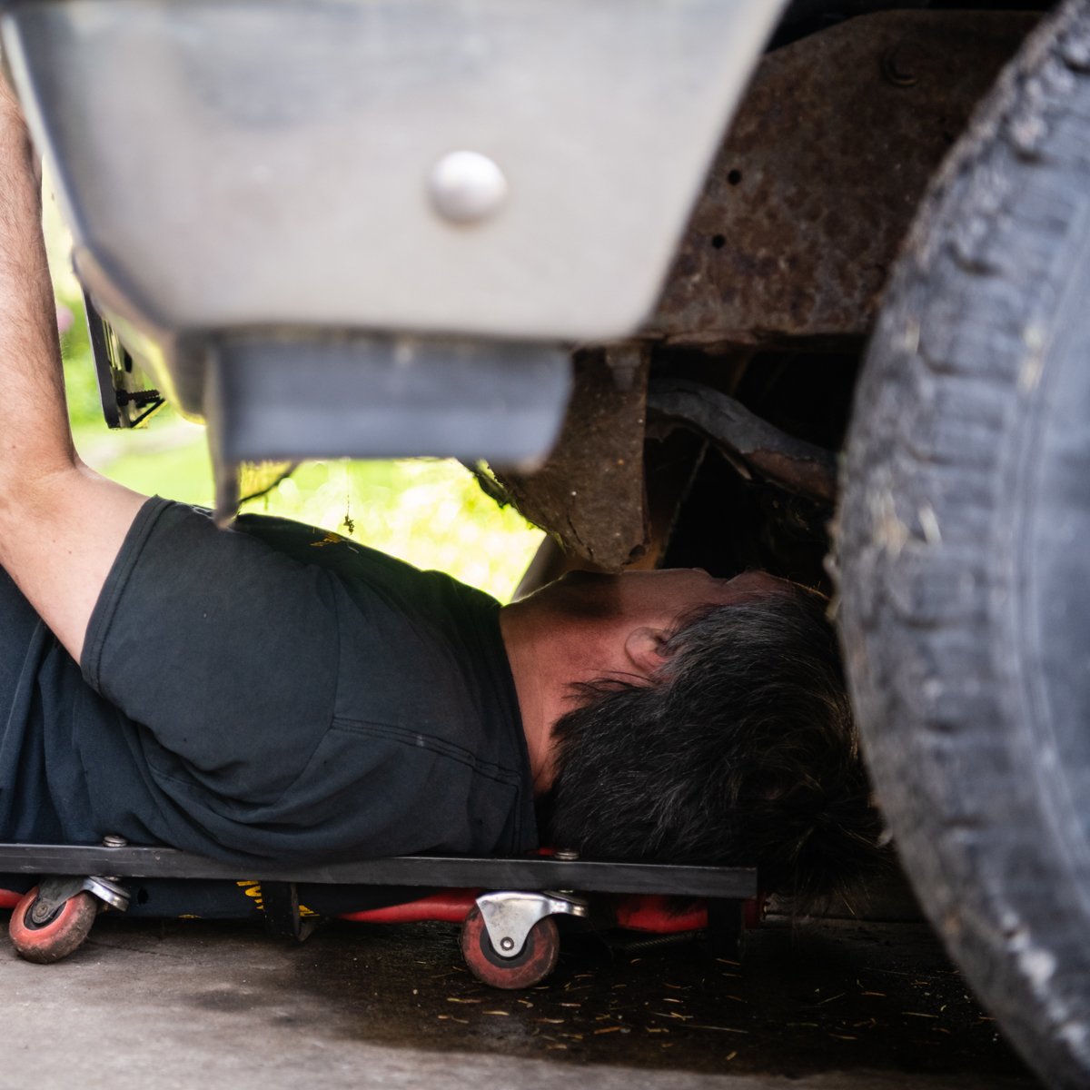 Brownie's Auto tweet media