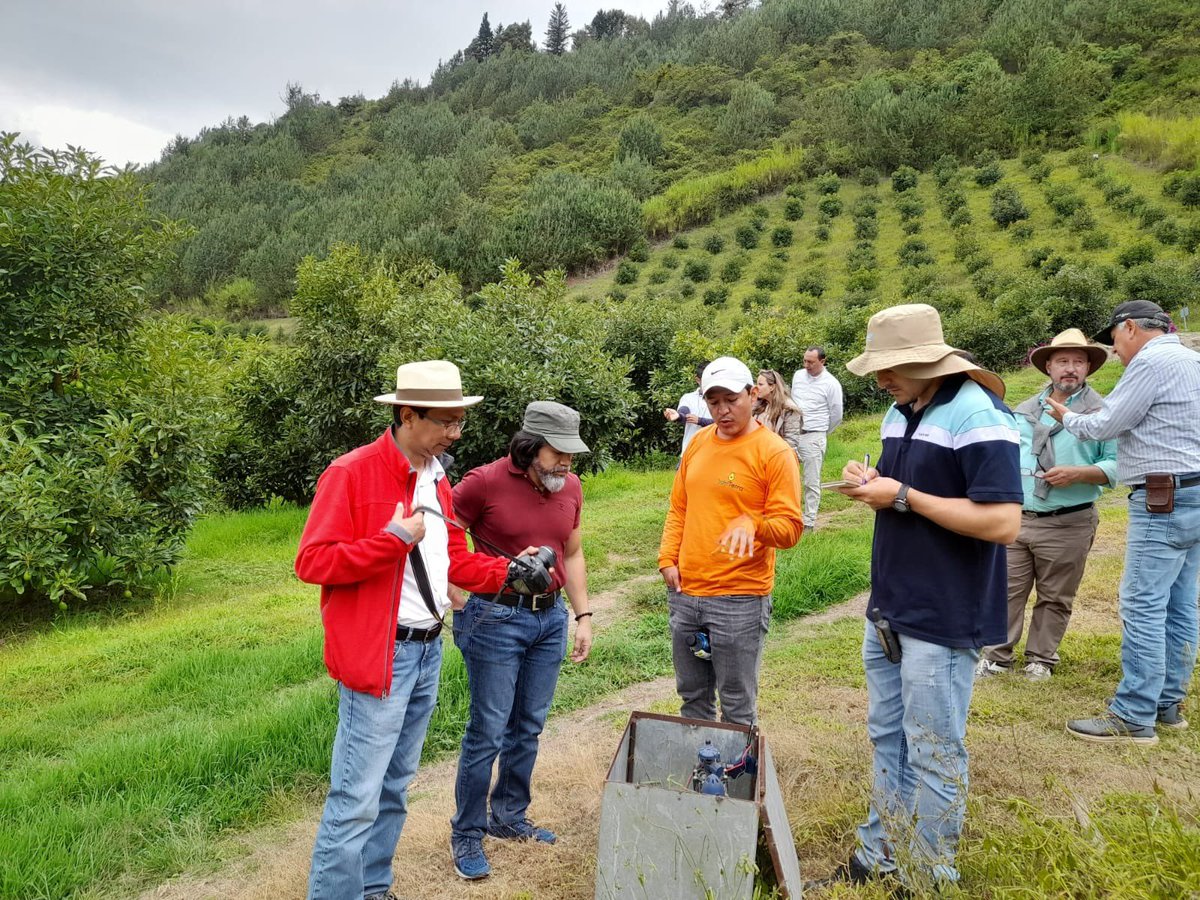 rikoltoLA's tweet photo. #HuellaHídrica 🇪🇨| En el marco del proyecto #CREA que es cofinanciado por la UE🇪🇺, los equipos técnicos de @CorpoaguacateEC,  @espol y #Rikolto visitamos las fincas de aguacate 🥑 levantando información para la huella hídrica, en una ruta que incluyó: Pichincha, Carchi e Imbabura https://t.co/lVZoI3FbUE