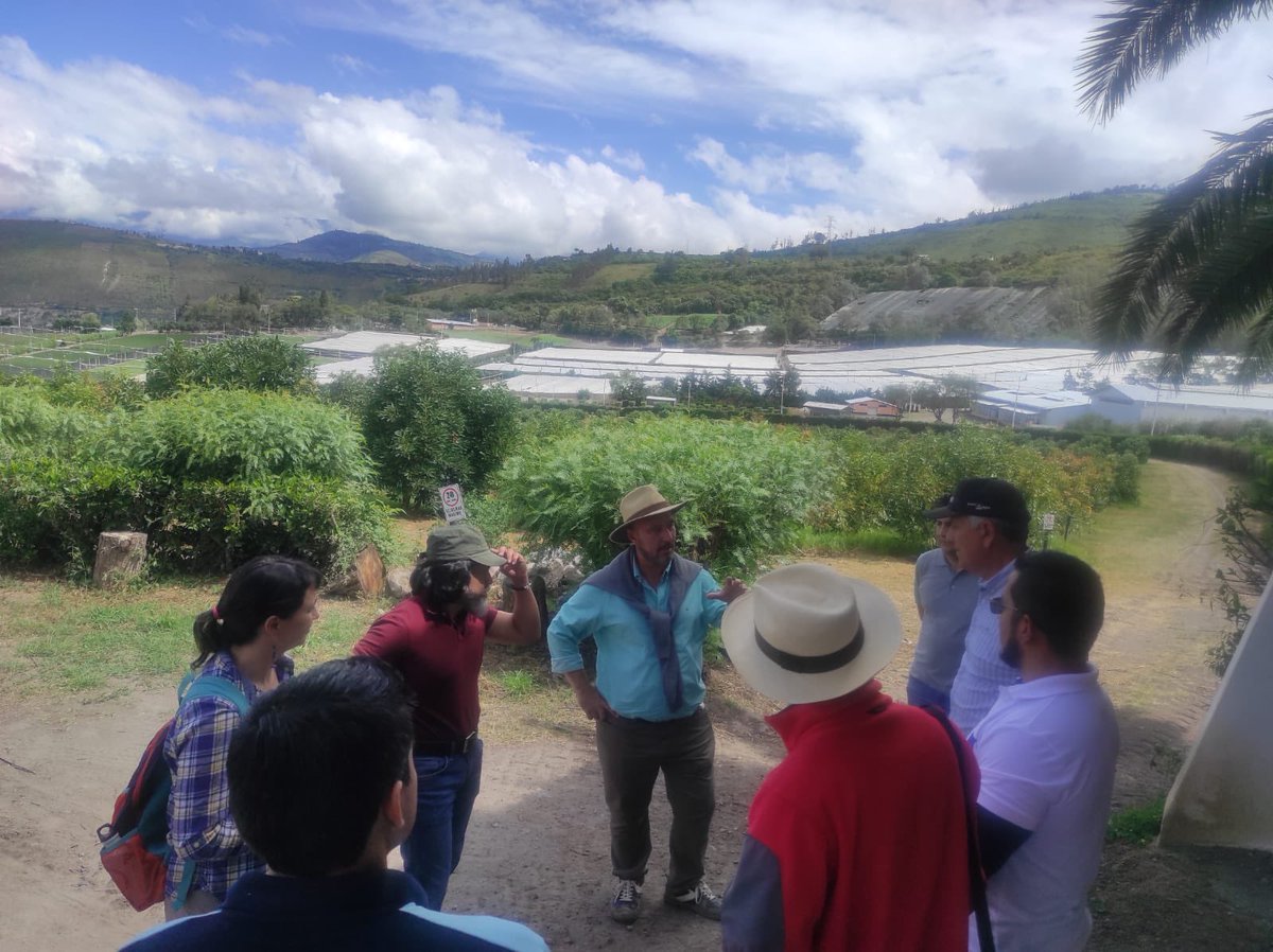 rikoltoLA's tweet photo. #HuellaHídrica 🇪🇨| En el marco del proyecto #CREA que es cofinanciado por la UE🇪🇺, los equipos técnicos de @CorpoaguacateEC,  @espol y #Rikolto visitamos las fincas de aguacate 🥑 levantando información para la huella hídrica, en una ruta que incluyó: Pichincha, Carchi e Imbabura https://t.co/lVZoI3FbUE