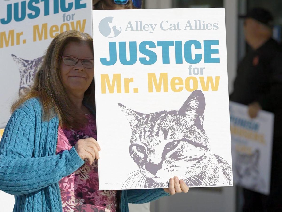 alleycatallies tweet picture