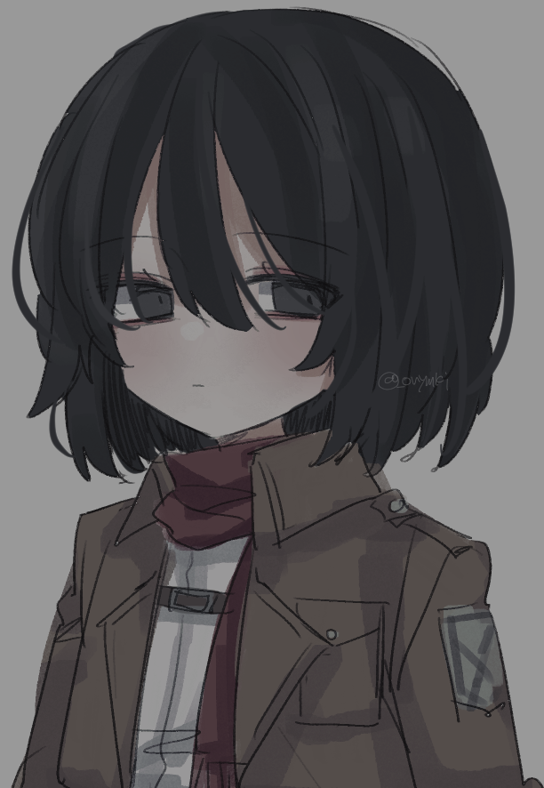 mikasa ackerman 1girl solo scarf black hair jacket paradis military uniform upper body  illustration images