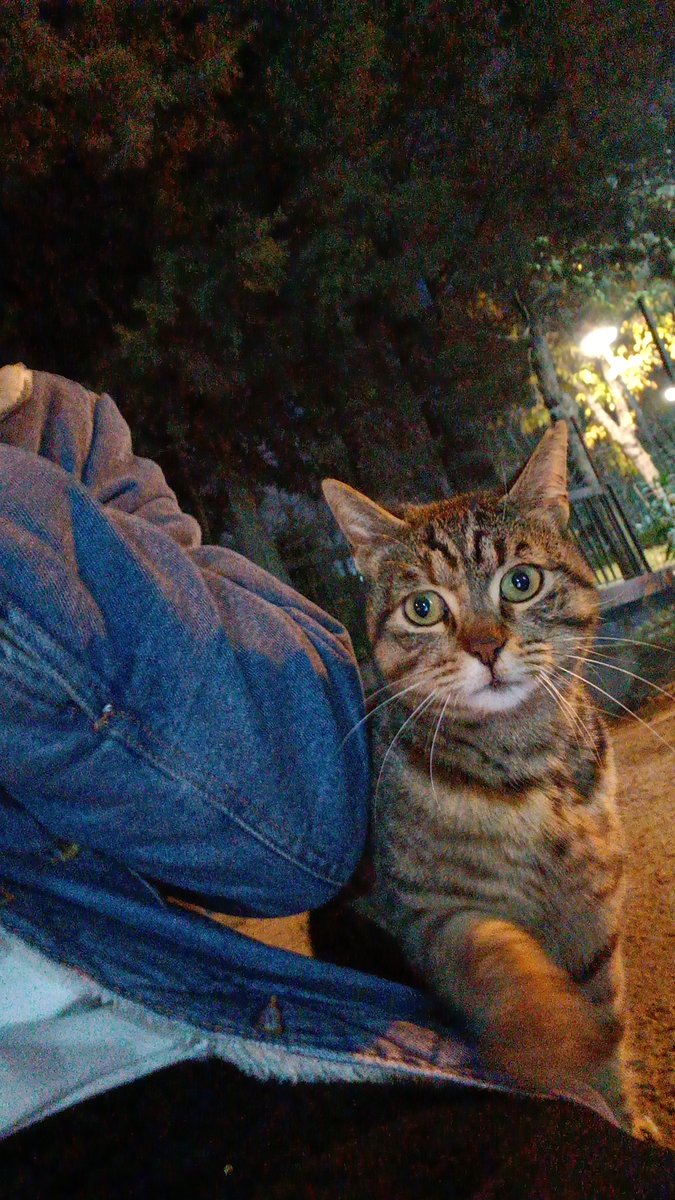 Tugay Yapıcı tweet media