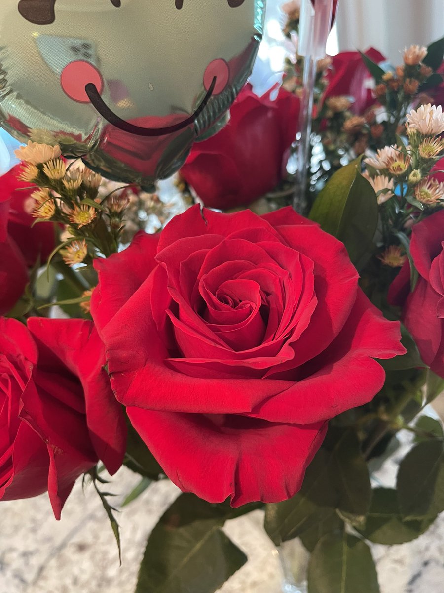 Don’t forget to smell the Roses 🌹 The little things in life make a big difference.