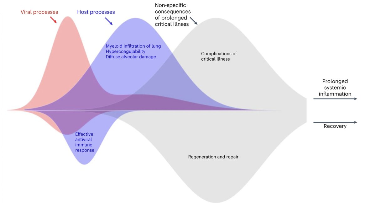 Our newest paper - just out a few minutes ago! 
<a href="/clarkdrussell/">Clark Russell</a> <a href="/ICULone/">Nazir Lone</a>  and I discuss the implications of different comorbid illnesses on the different phases of Covid-19.

nature.com/articles/s4159…