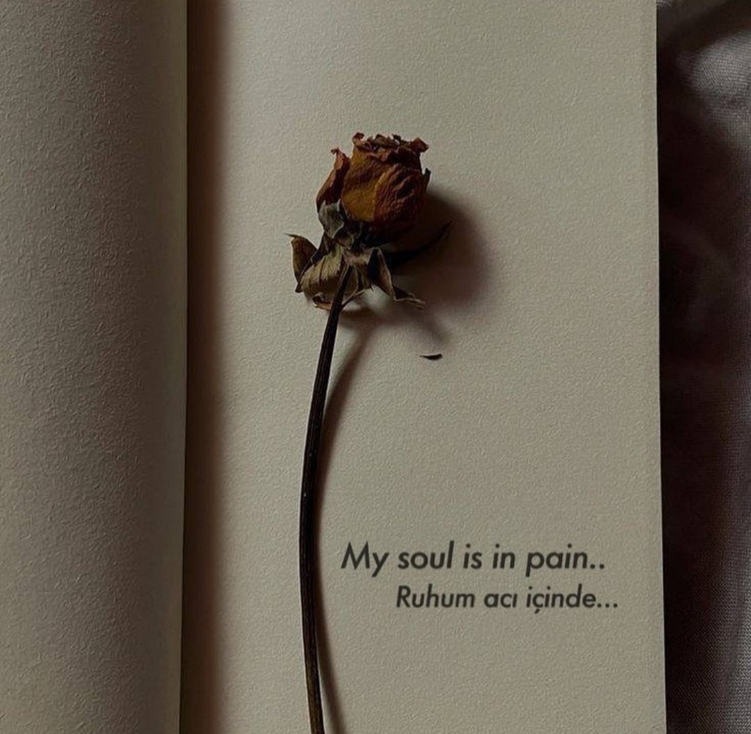 Elemsiz yürü geç bu dünya seferinden ☀️ (@kucukkaya_demet) on Twitter photo 