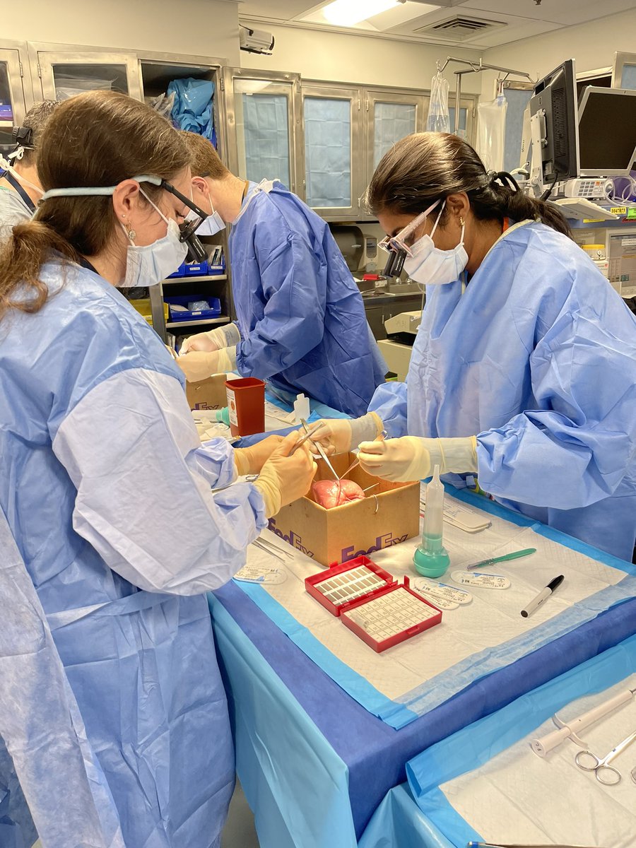 mghctsurgery's tweet photo. Thank you @Ethicon for hosting our coronary anastomosis skills lab this morning! Guest appearances from @JordanBloomMD and @AsishanaOsho proctoring the session. #alwayslearning #mghctfamily https://t.co/Wgv1ETGUSc