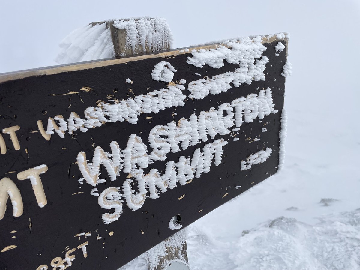 Wendy Almeida ☀️ tweet media