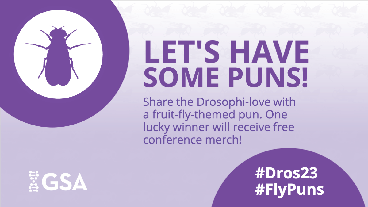 We know your creativity around #Drosophila knows no bounds, so there's no limit on how many #FlyPuns you can share. Every post featuring a fly pun and the contest hashtags counts as one entry into the raffle. More puns = more chances to win #Dros23 swag! bit.ly/3E76irI