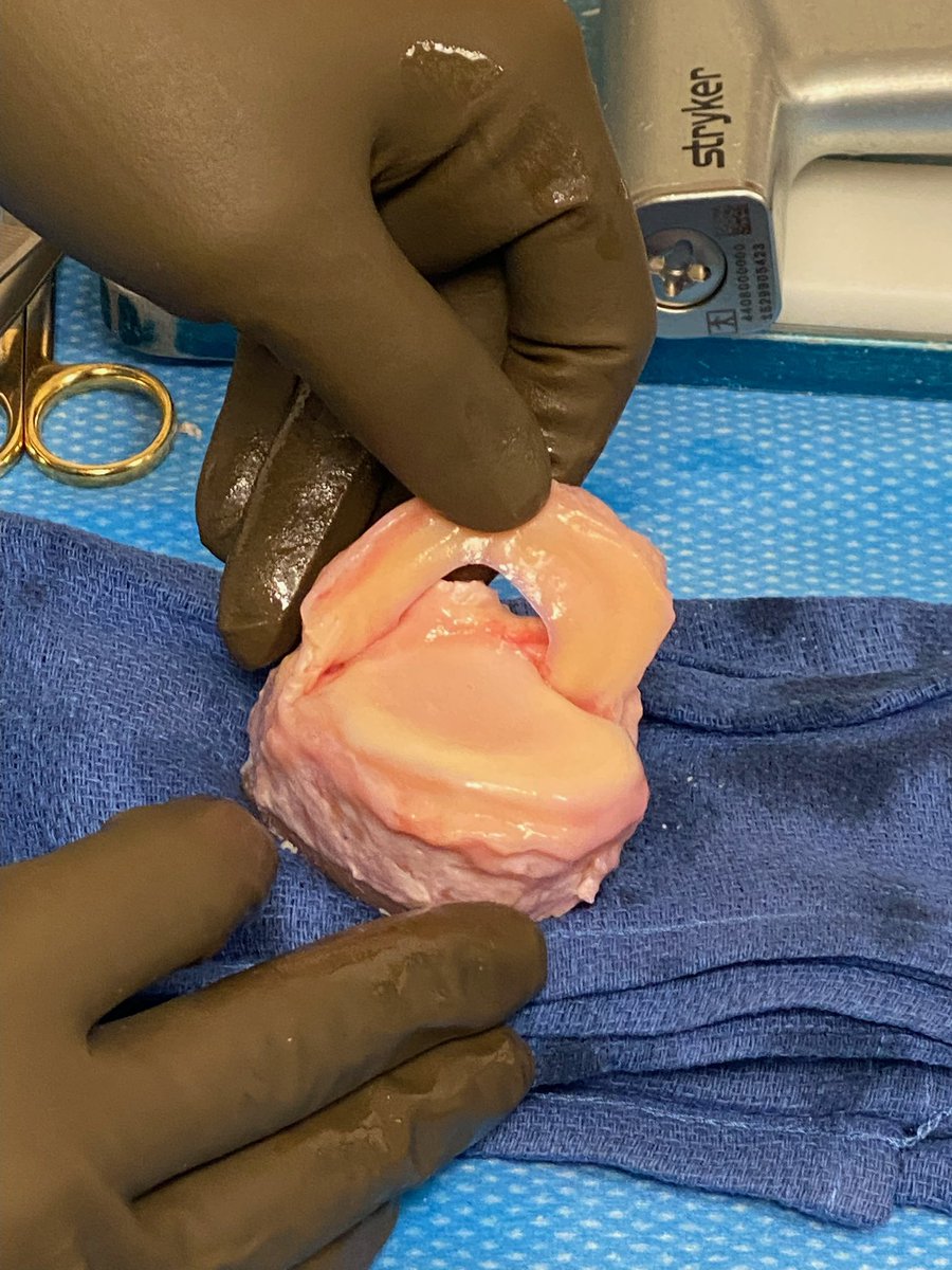 Clayton Nuelle, MD, FAAOS tweet media