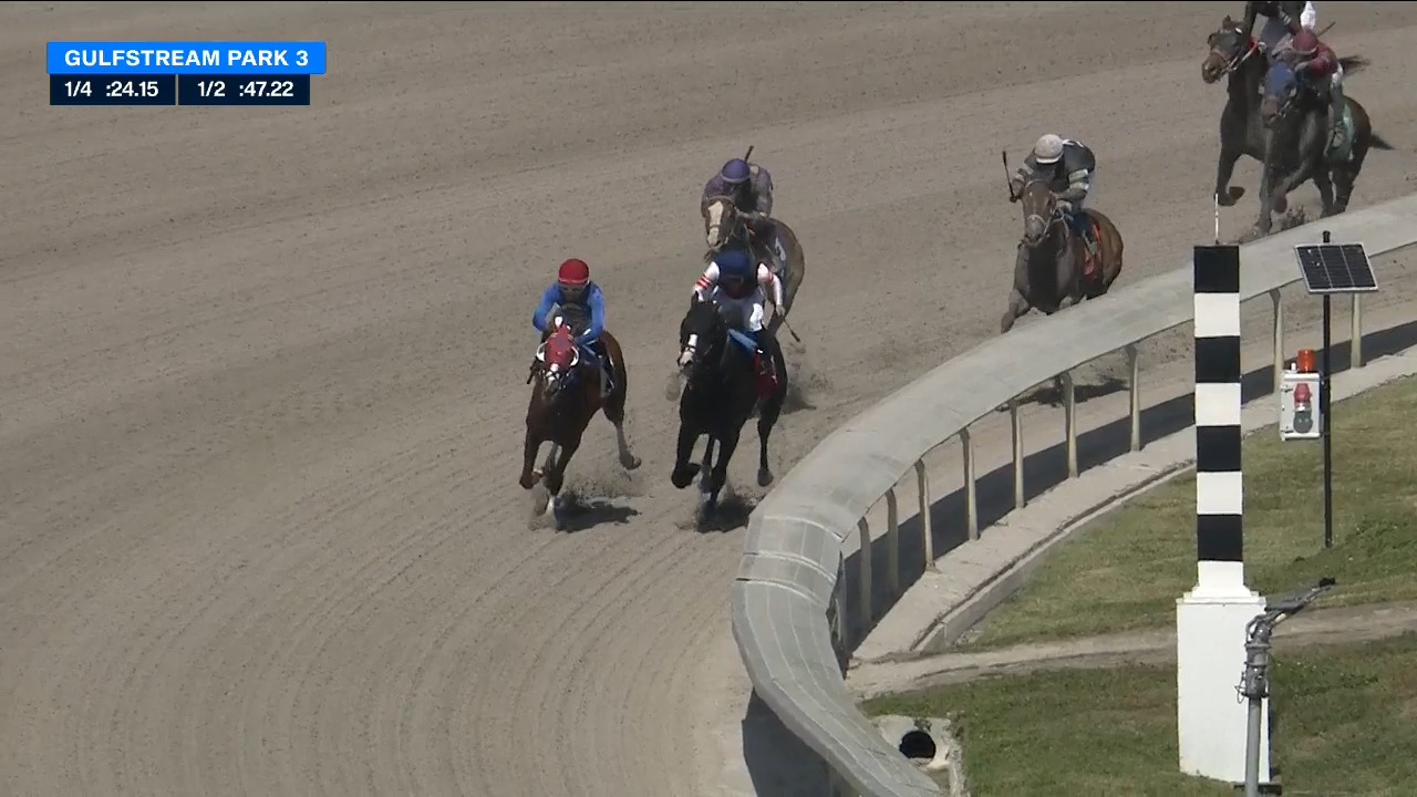 TVG on Twitter "Apprentice Angel Morales gets a second win in just two