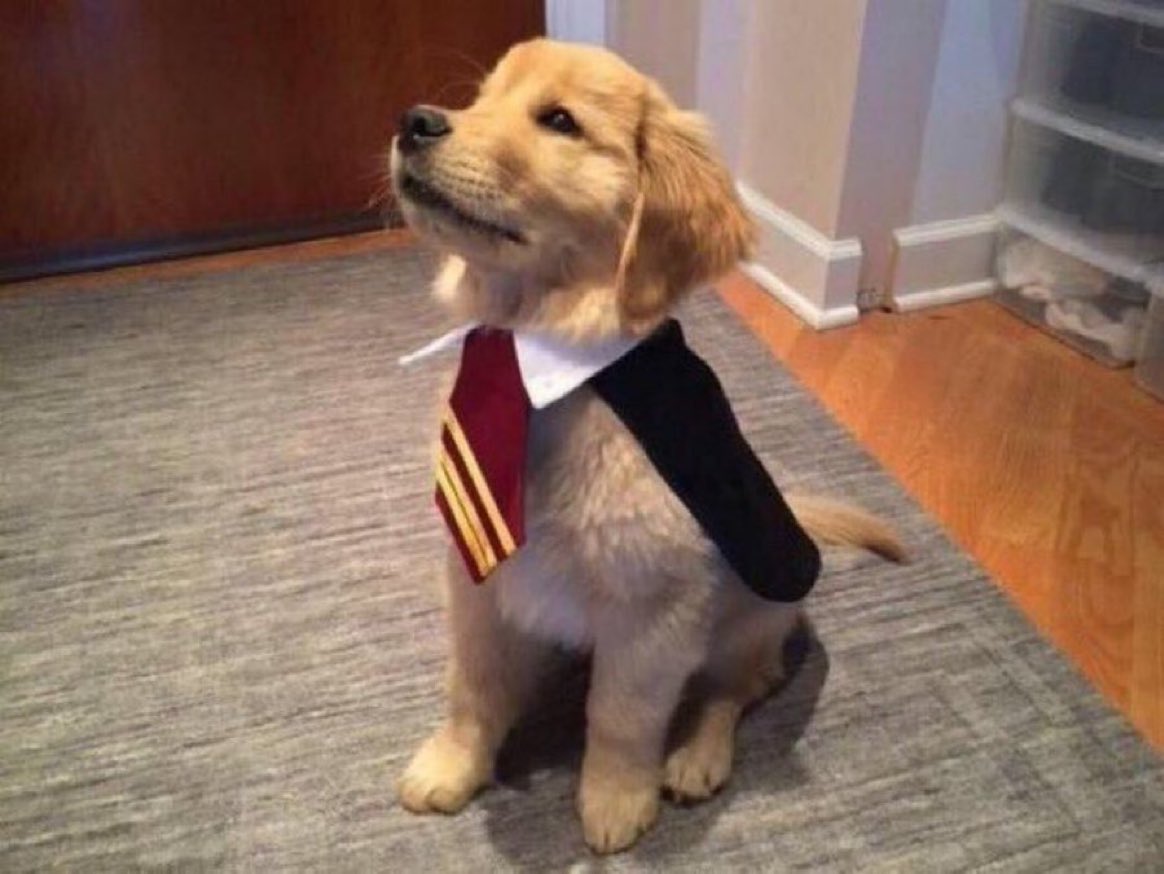 HPotterUniverse's tweet photo. 723,818,283 points to Gryffindor. https://t.co/4HINCeCy9W