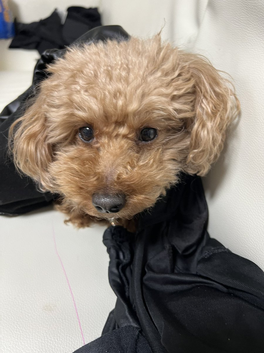 うー😭我慢しないと黙って寝よう

可愛いぃ😭