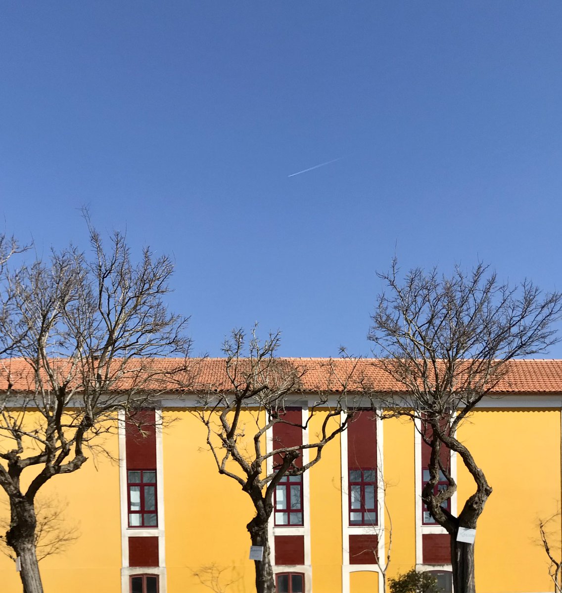 AVEIRO COLOR #portugal #portugaltravel #arquitetura #portugaldiscoveries #portugaldenorteasul #super_portugal #amar_portugal #wow_portugal_ #portugalonthetop #exploringportugal #explorar_portugal #stormhour #thephotohour   #minimalist #minimalism l #winter
