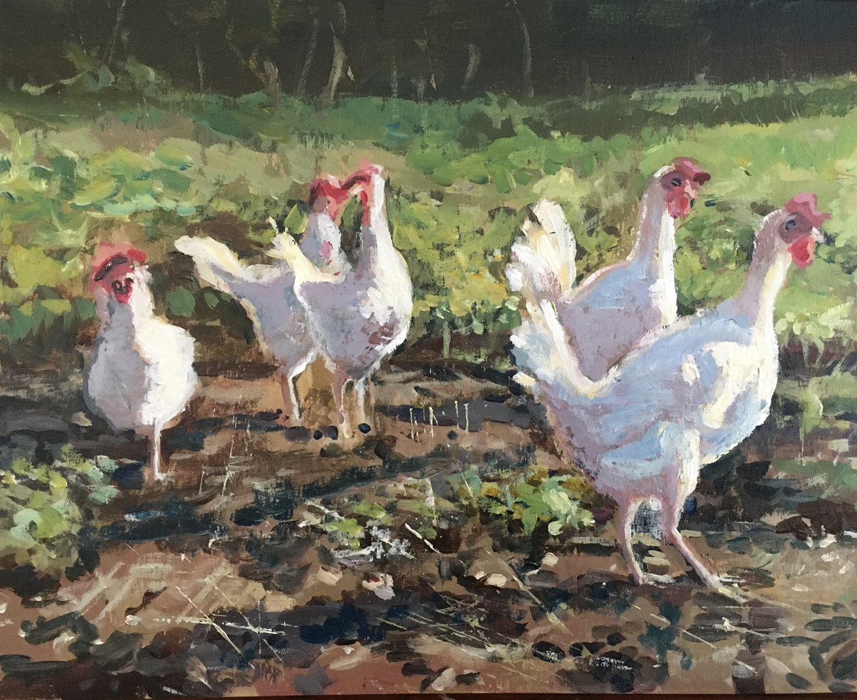 h3nrymartin's tweet photo. Chicken Watch continues!
Ali and Dom's five ex-battery rescues are all alive and doing well, enjoying the sunshine, unimaginable 3 months ago in their overcrowded egg factory.
#factoryfarming #EndFactoryFarming #chickenwatch #batterychickens #batteryhen https://t.co/4tMsS9YREq