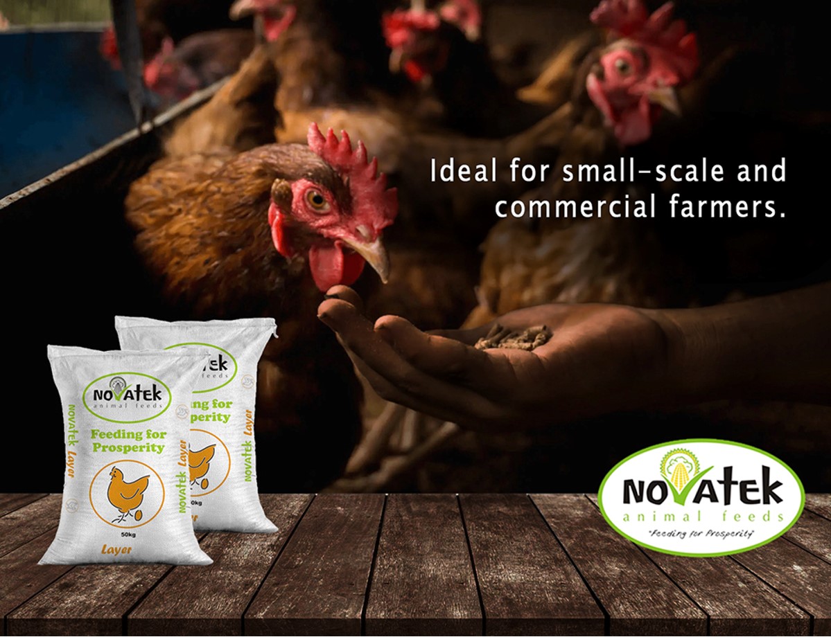 Novatek Feeds Zambia (@NovatekZambia) / Posts / X