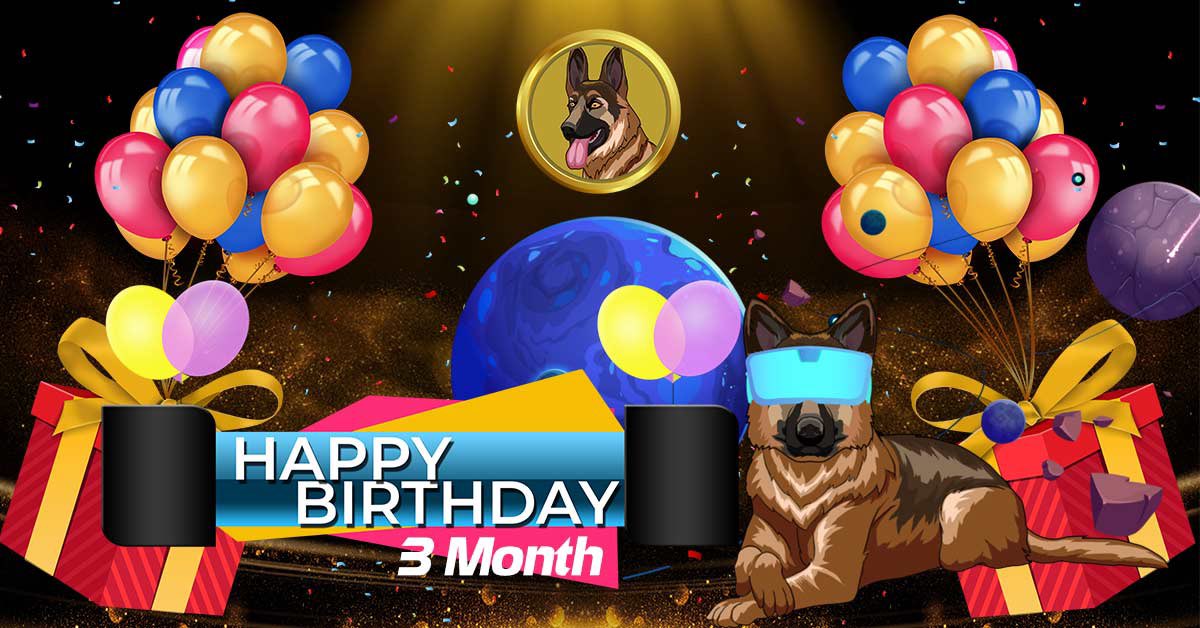 BergerDoge Coin tweet media