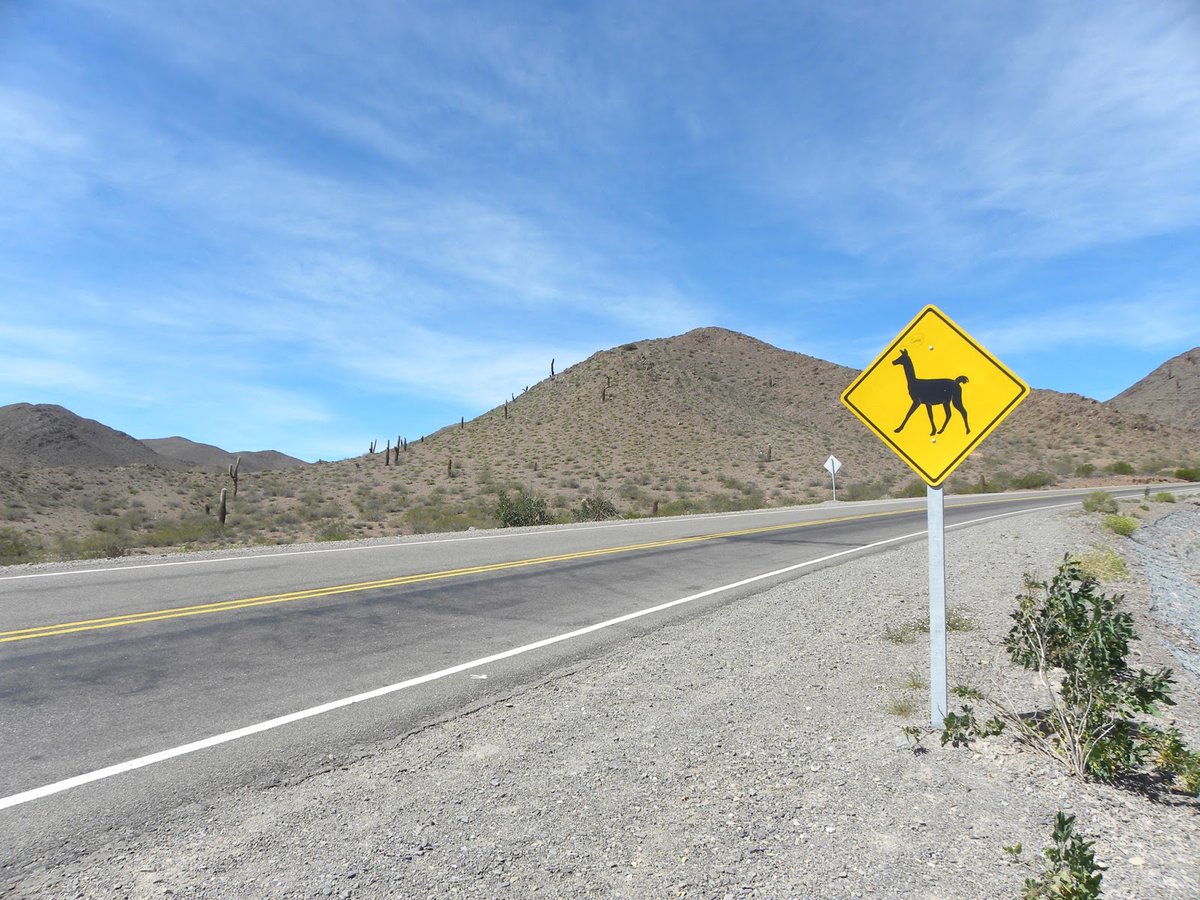 Taia GinTonic 🍸 on Twitter "RT PerroLocoLabs Yo sugiero que empiecen