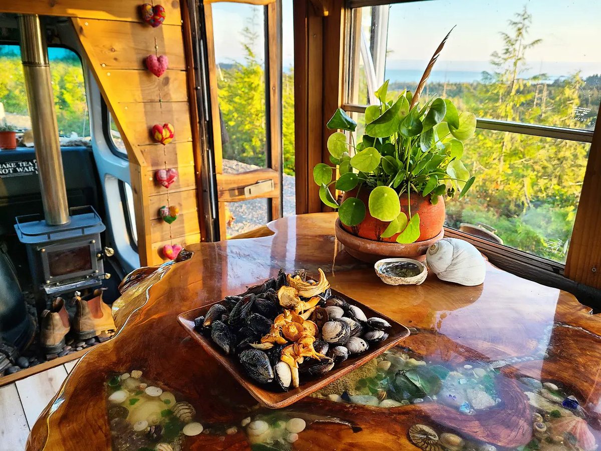 CubicMiniStoves's tweet photo. picture perfect😍 🔥
@bodhibus
~ Some gifts on the trail, little mussel, savory clam, chanterelle medley ~
#rvlifestyle #buslifeadventures #vanlifemovement #vanlifestyle #vanlifeproject #woodstovelove #buslifeadventure #tinyhouseliving #tinyhomeonwheels #buslifers https://t.co/QRdKTnf2Sn