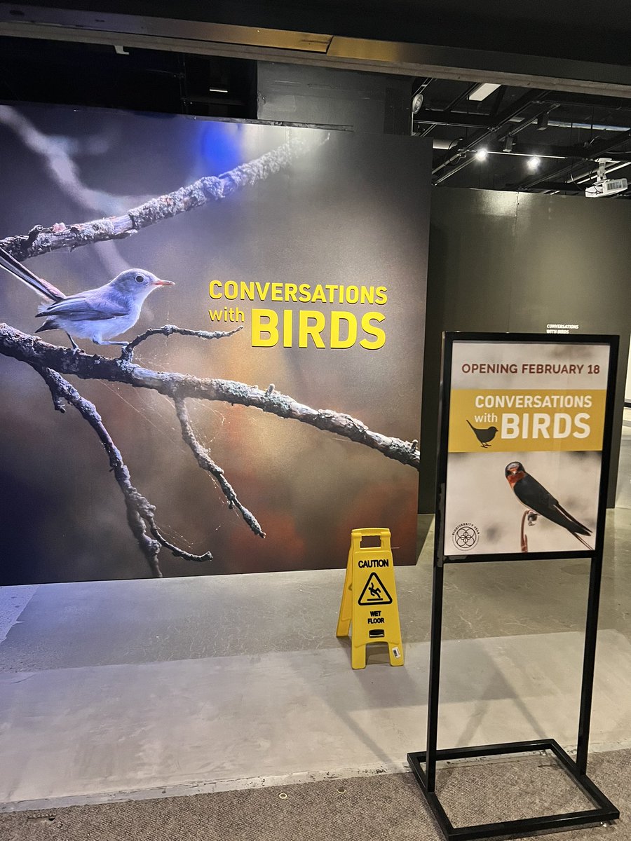 e_v_griffith's tweet photo. We’re gearing up for the launch of the “Conversations with Birds” exhibit @AcadNatSci - complete with a public prepping lab! #ornithology #museumscience https://t.co/Wf4Phyeczt