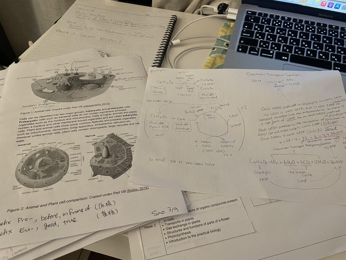 SaoRobi's tweet photo. Last minutes study๐ค Now I know I like biologyโฆ I wish I had enough time to study in depth. #TAFE #ATP #adultstudent https://t.co/iq4d4EFyxa
