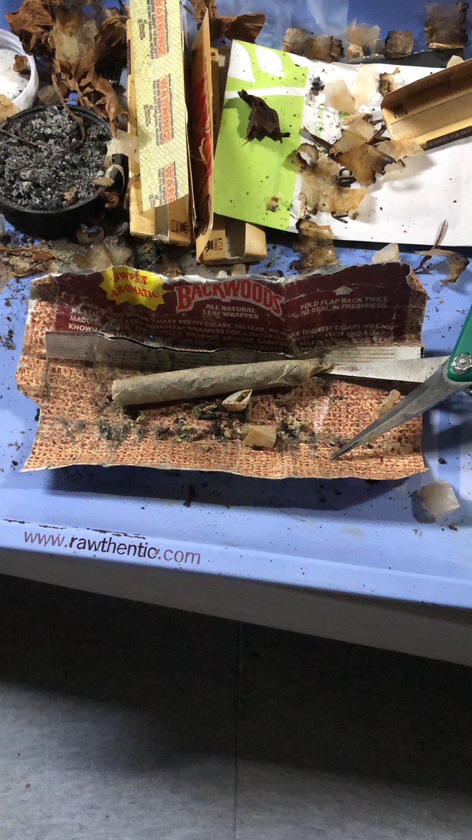 itsflipjackson's tweet photo. โYou know what it is, still smoking roach bluntsโ ~ #KeepItThoro
Every morning for the last 5 years easy, I wake up, give thanks to God and roll up yesterdaze vibrations in gratitude word to Brocky Marciano ๐๐๐๐๐ฏ #THC https://t.co/VkyM8Dselm