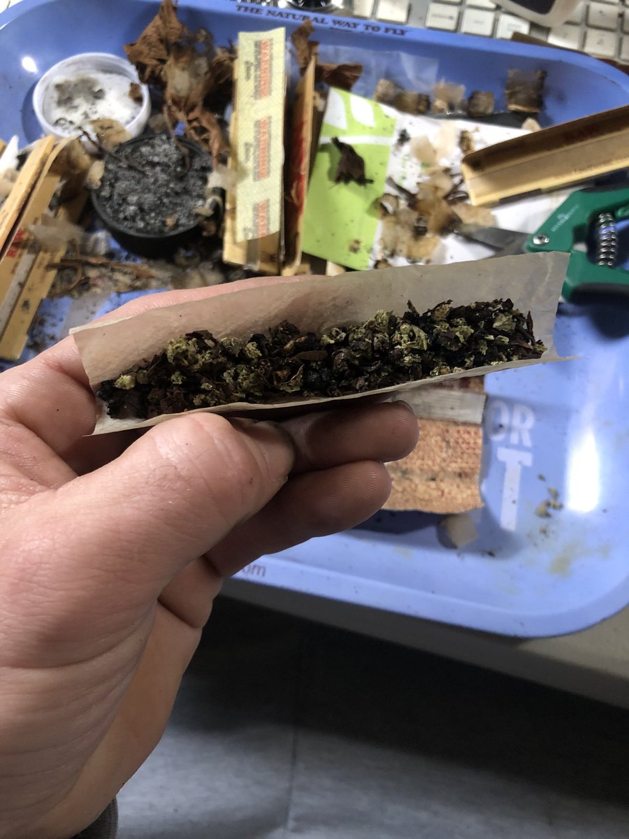 itsflipjackson's tweet photo. โYou know what it is, still smoking roach bluntsโ ~ #KeepItThoro
Every morning for the last 5 years easy, I wake up, give thanks to God and roll up yesterdaze vibrations in gratitude word to Brocky Marciano ๐๐๐๐๐ฏ #THC https://t.co/VkyM8Dselm