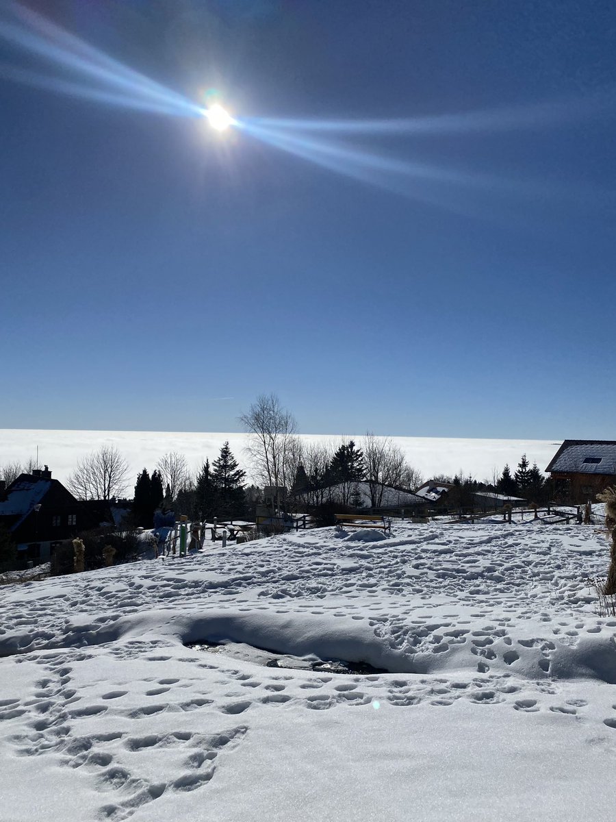 ScanUnit's tweet photo. @ScanUnit and @SilaniLab had a lab retreat above the clouds ☀️
We had a great time skiing/hiking ⛷️🥾 in Mönichkirchen and we got there all by public transport 🚆🌍
Special thanks to @ClausLamm for making this possible 😊 and Max Eder for organizing the trip💙 https://t.co/dqYKPmuk1O