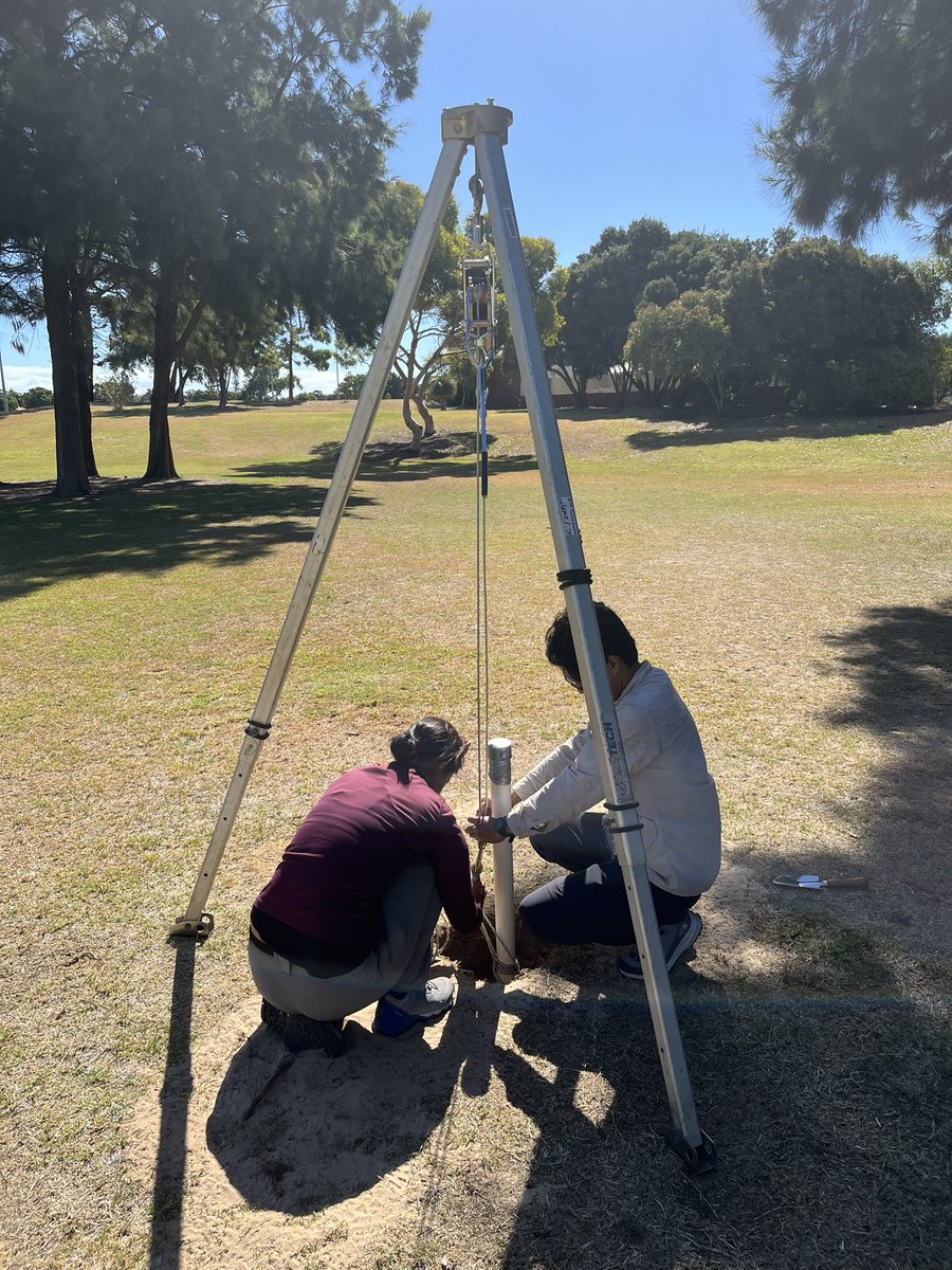 SeaLevelHK's tweet photo. @CoastalLabNTU It’s out from the ground ! https://t.co/m2LraYlmAB