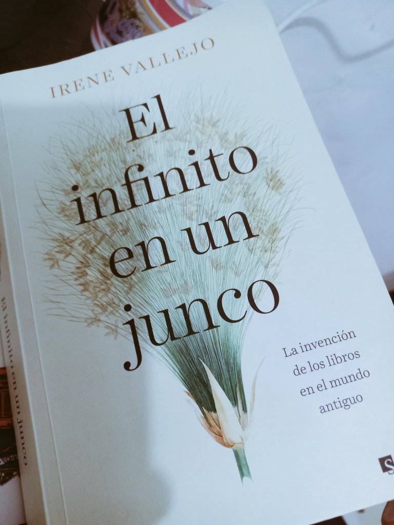 sergiohisto's tweet photo. Libro del mes.  
El infinito en un junco. Irene Vallejo. https://t.co/0IC4d6ARxQ