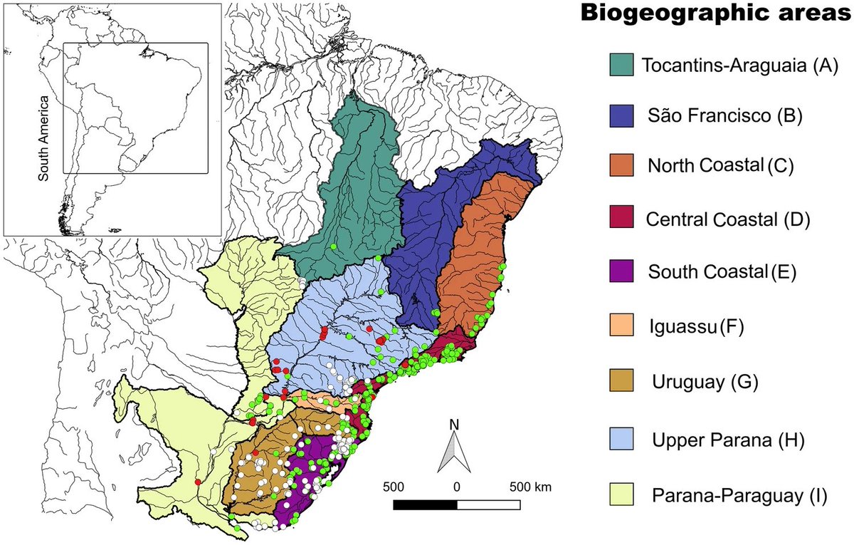 Evolutionary biogeography of Cnesterodontini (Teleostei: Poeciliidae): area relationships and priority ranking for conservation.
Frota, Morrone & da Graça. 2023. Aquat Sci 85, 50 
doi.org/10.1007/s00027…